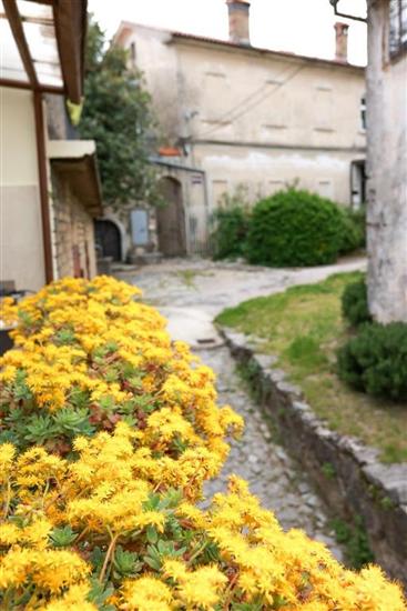 Apartments Nad Voltun