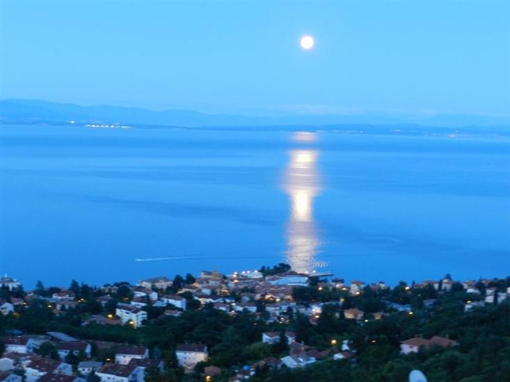 Apartments Belvedere