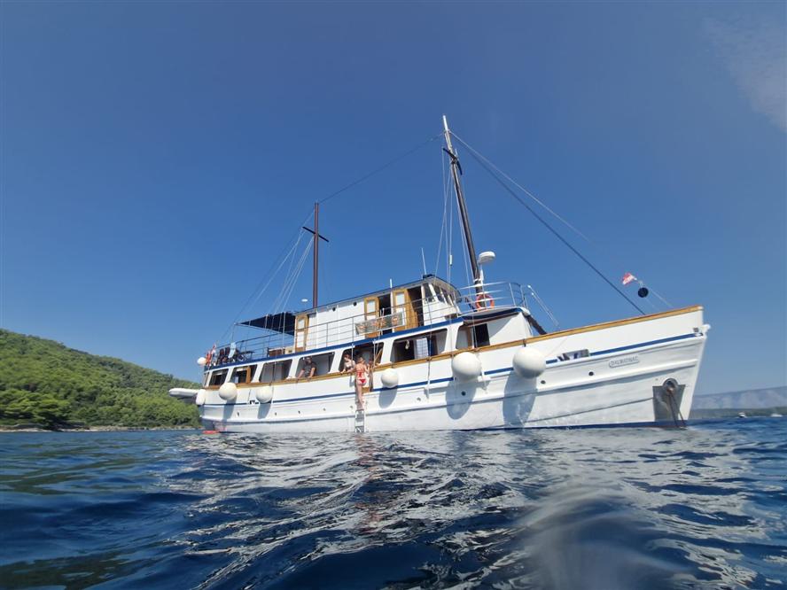 Dalmatinac-superior-class