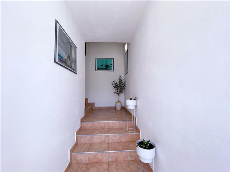 Apartments Neptun with Sea View