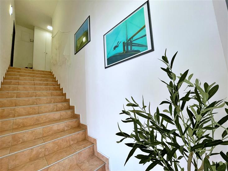 Apartments Neptun with Sea View