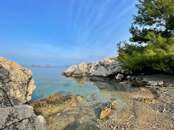 Apartments Neptun with Sea View