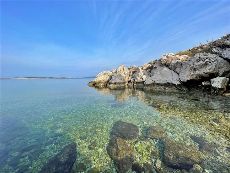 Apartments Neptun with Sea View