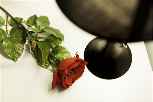 Apartment A1, for 8 persons