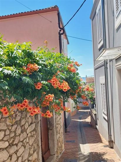 Апартаменты Izabela