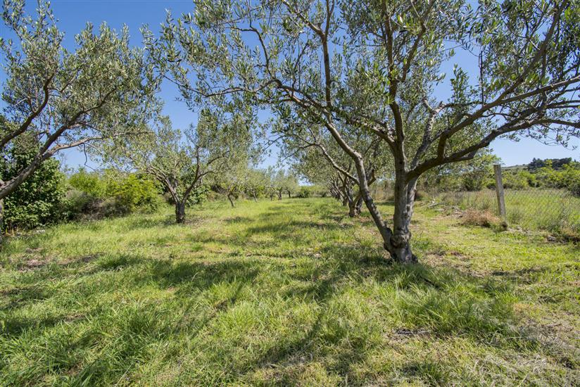 Villa Mare with pool