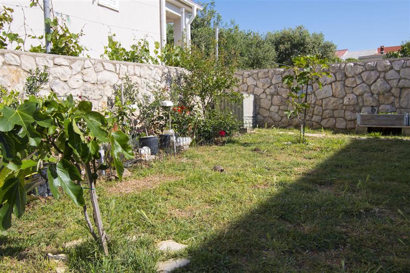 Apartment Sunny Terrace Oasis