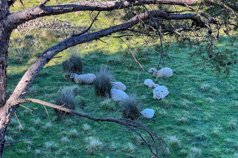 Appartement A2, pour 5 personnes