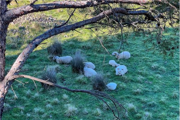 Appartement A2, pour 5 personnes