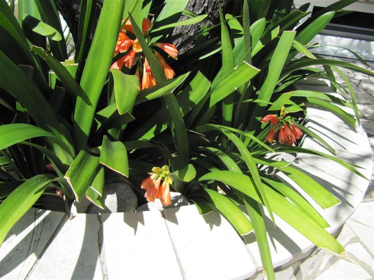 Room S2, for 3 persons