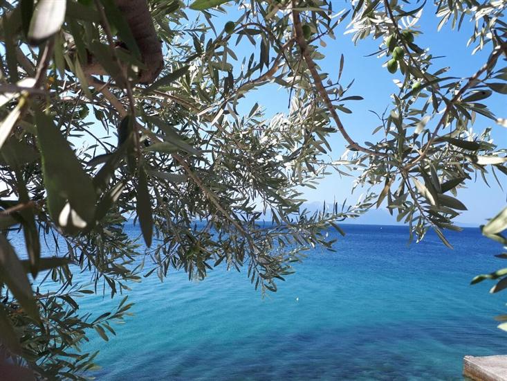 Room S6, for 2 persons