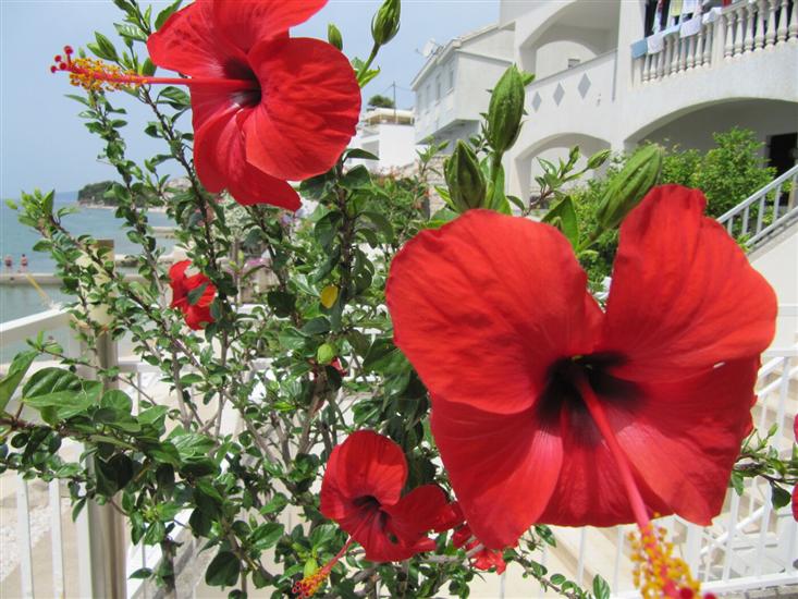 Room S8, for 2 persons