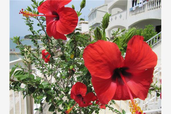 Room S8, for 2 persons