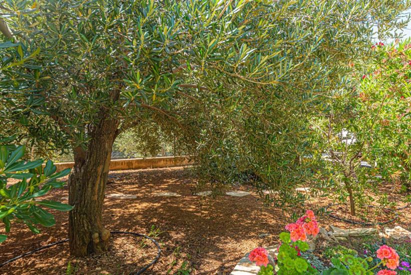 Apartmani Villa Tribunj