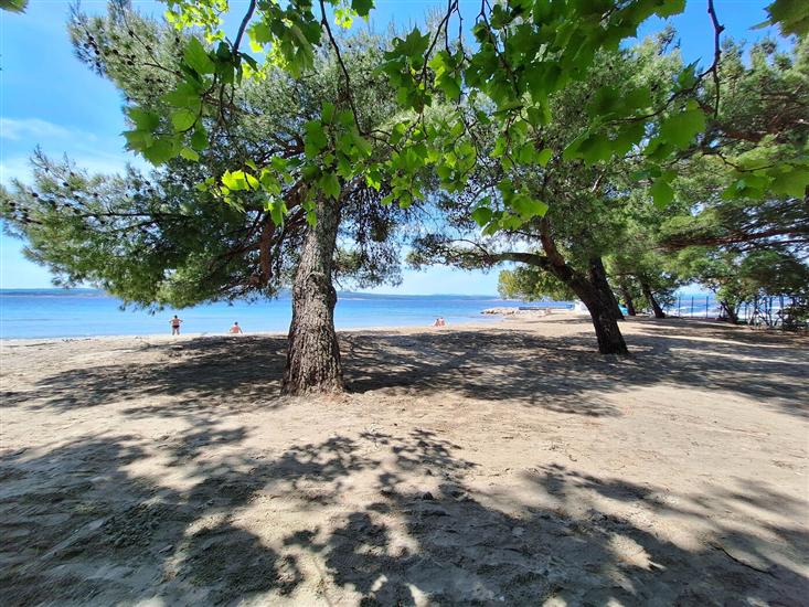 Apartment and Rooms Katunar