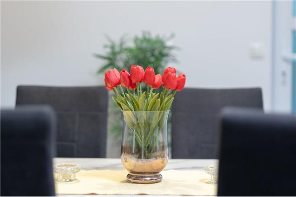 House K1, for 8 persons