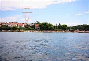Apartament - Maslinica
