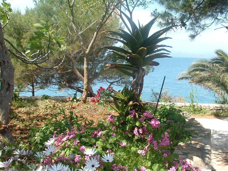 Apartments Zlatko Slobodan