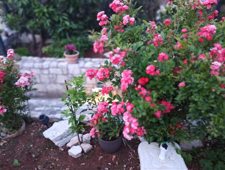 Apartments Zlatko Slobodan