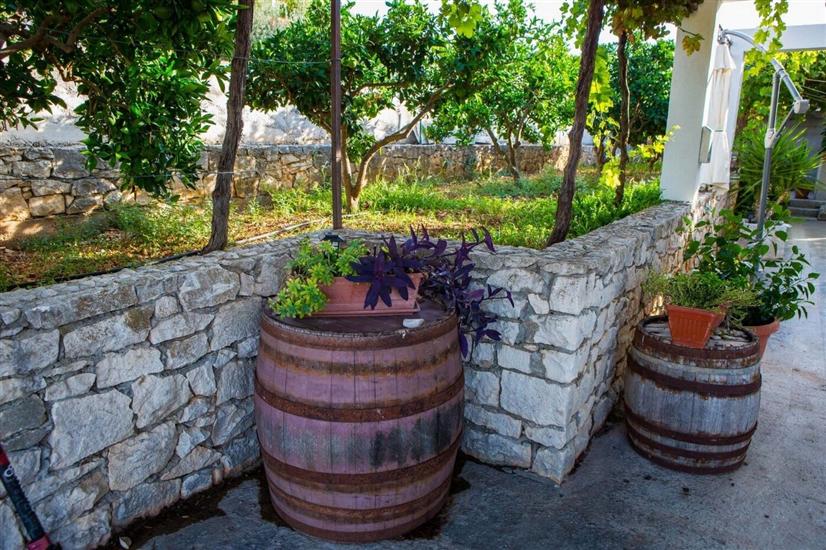 Apartment Lenka Mato