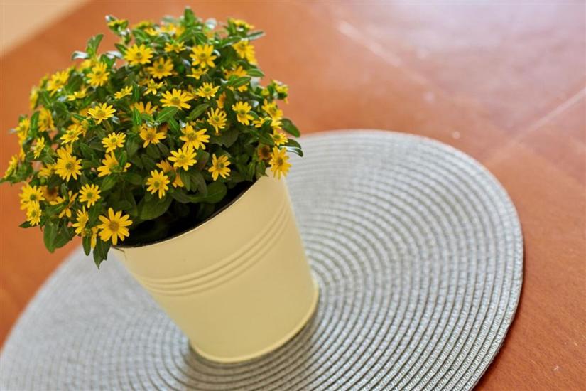 Apartment A3, for 4 persons