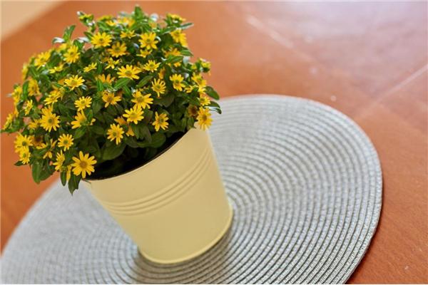 Apartment A3, for 4 persons