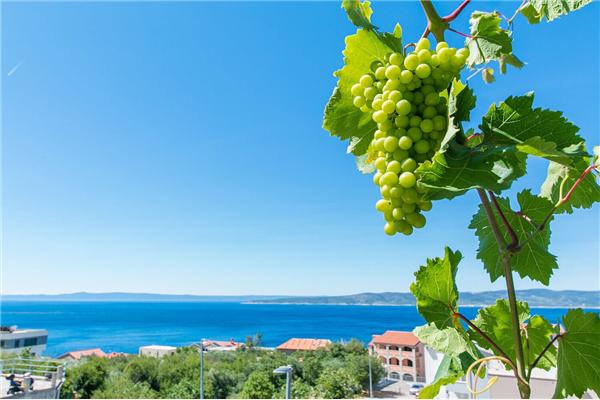 Apartment A1, for 5 persons