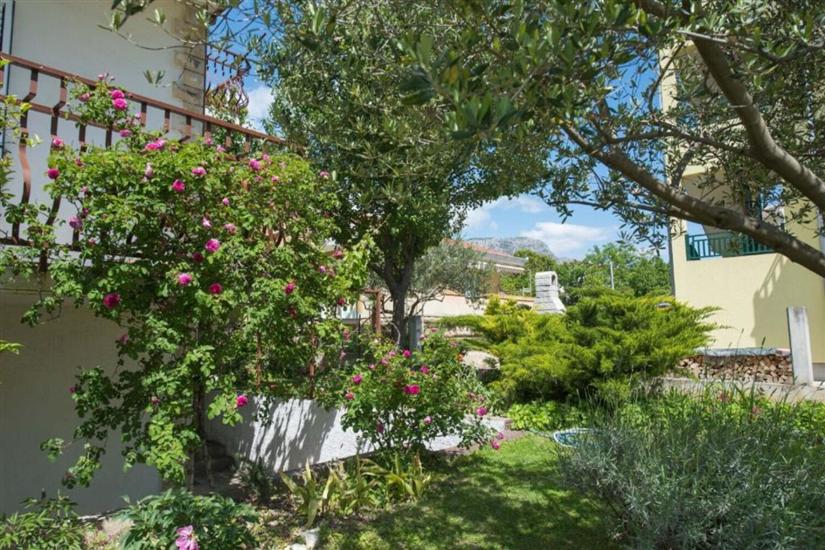 Apartment A2, for 3 persons