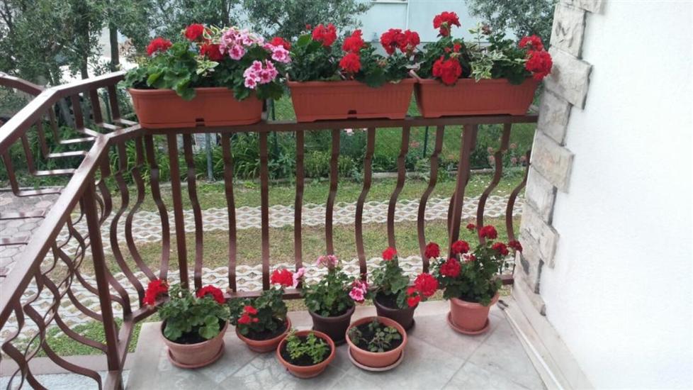 Apartment A3, for 5 persons