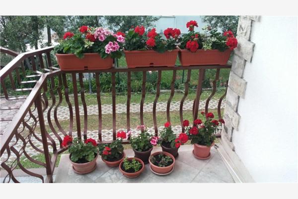 Apartment A3, for 5 persons