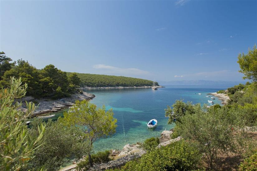 House Villa Bistrana