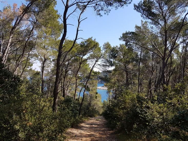 House Villa Bistrana