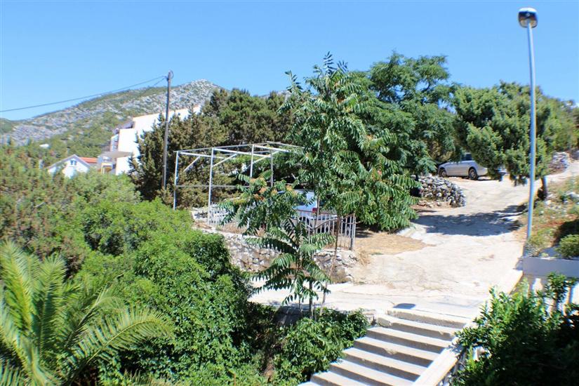 Apartment and Rooms Marlene