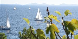 Apartment - Murter - island Murter