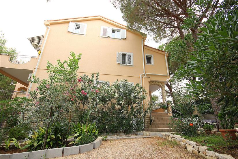 Apartments Dino