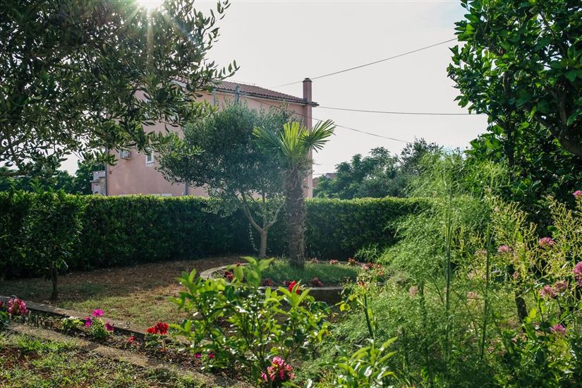 Apartments and Rooms Ivan