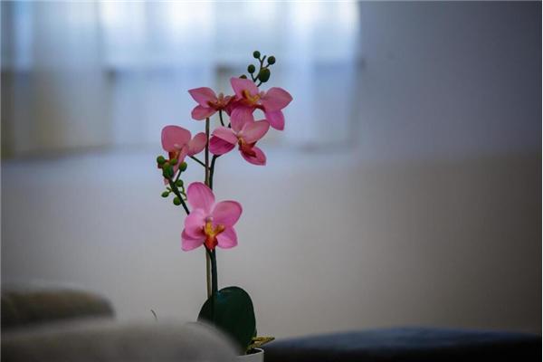 Apartment A3, for 6 persons