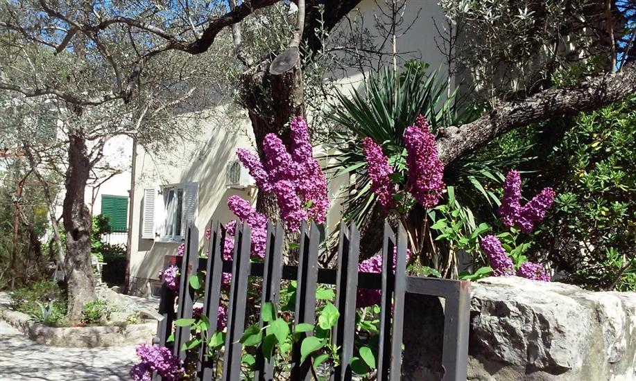Apartments Pondeljak