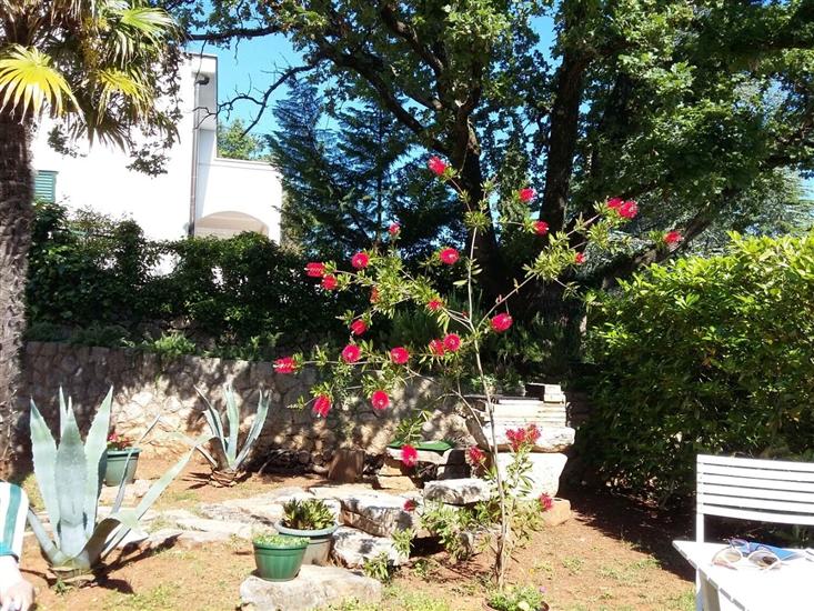 Apartments Pondeljak