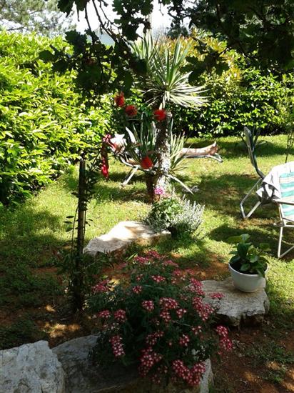 Apartments Pondeljak