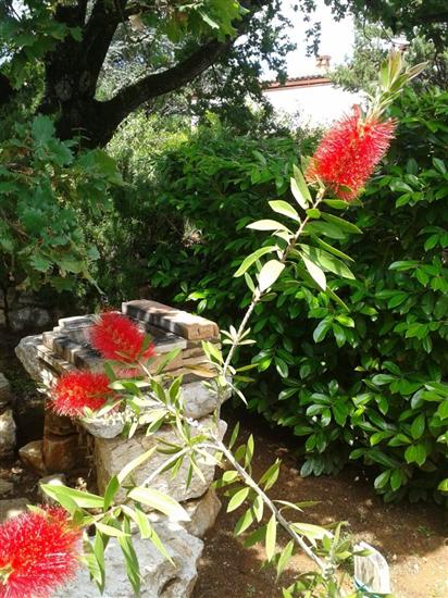 Apartments Pondeljak