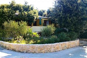 Apartment - Petrcane ( Zadar )