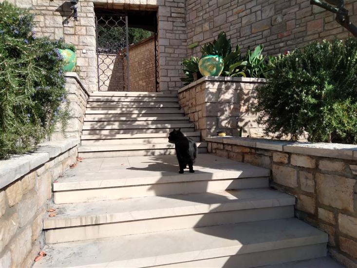 Apartments and Rooms Ref