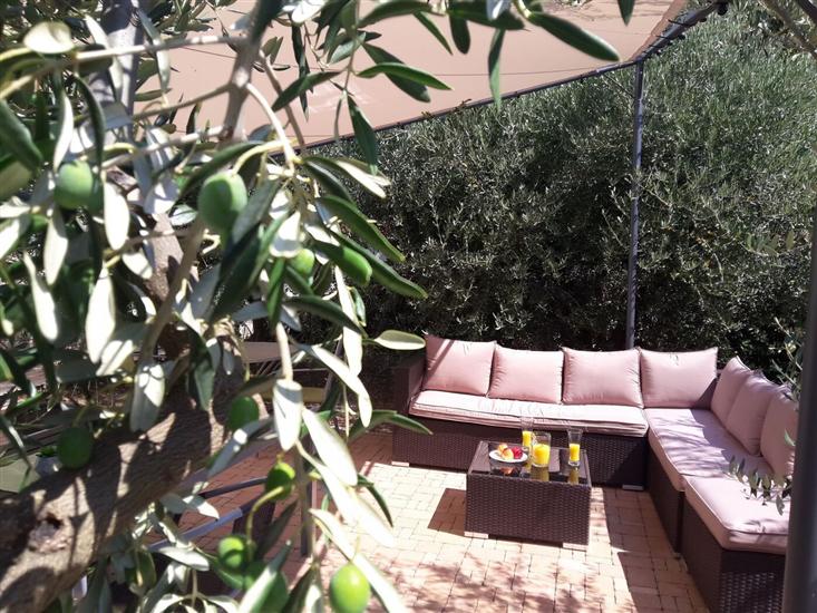 Apartments Olive Garden