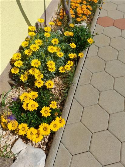 Апартаменты Vanja