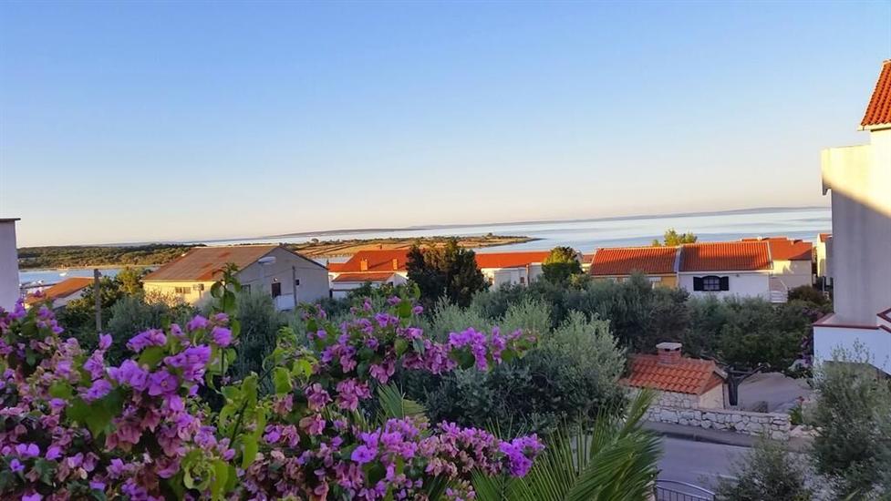 Apartment and Room Cherry