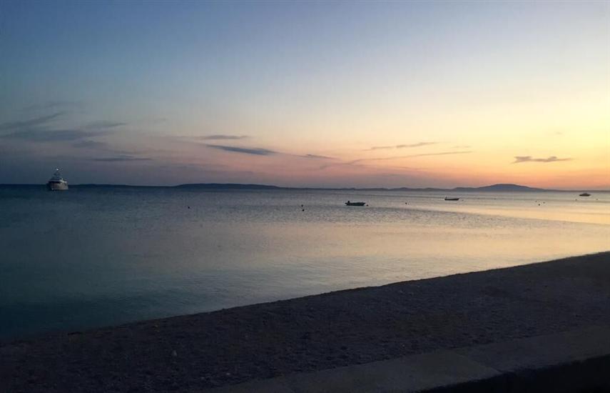 Apartment and Room Cherry