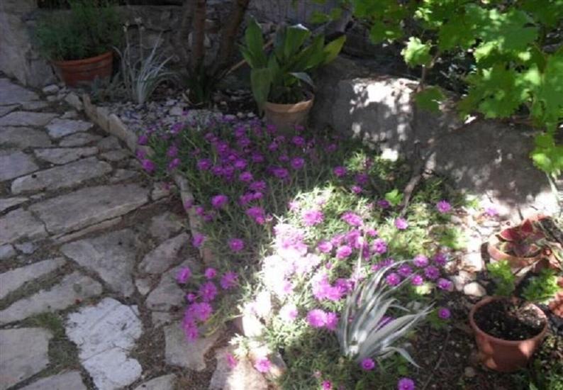 Apartments Blue Skies