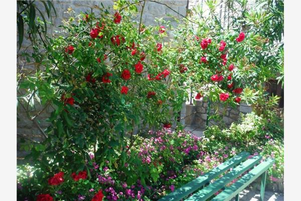 Apartment A1, for 3 persons