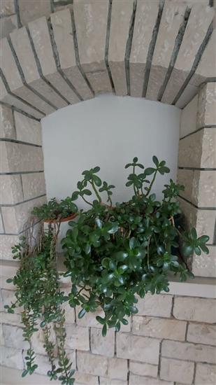 Apartment A4, for 2 persons